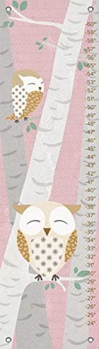 Oopsy Daisy Birchwood Owl Growth Chart, Pink, 12" x 42" Poster